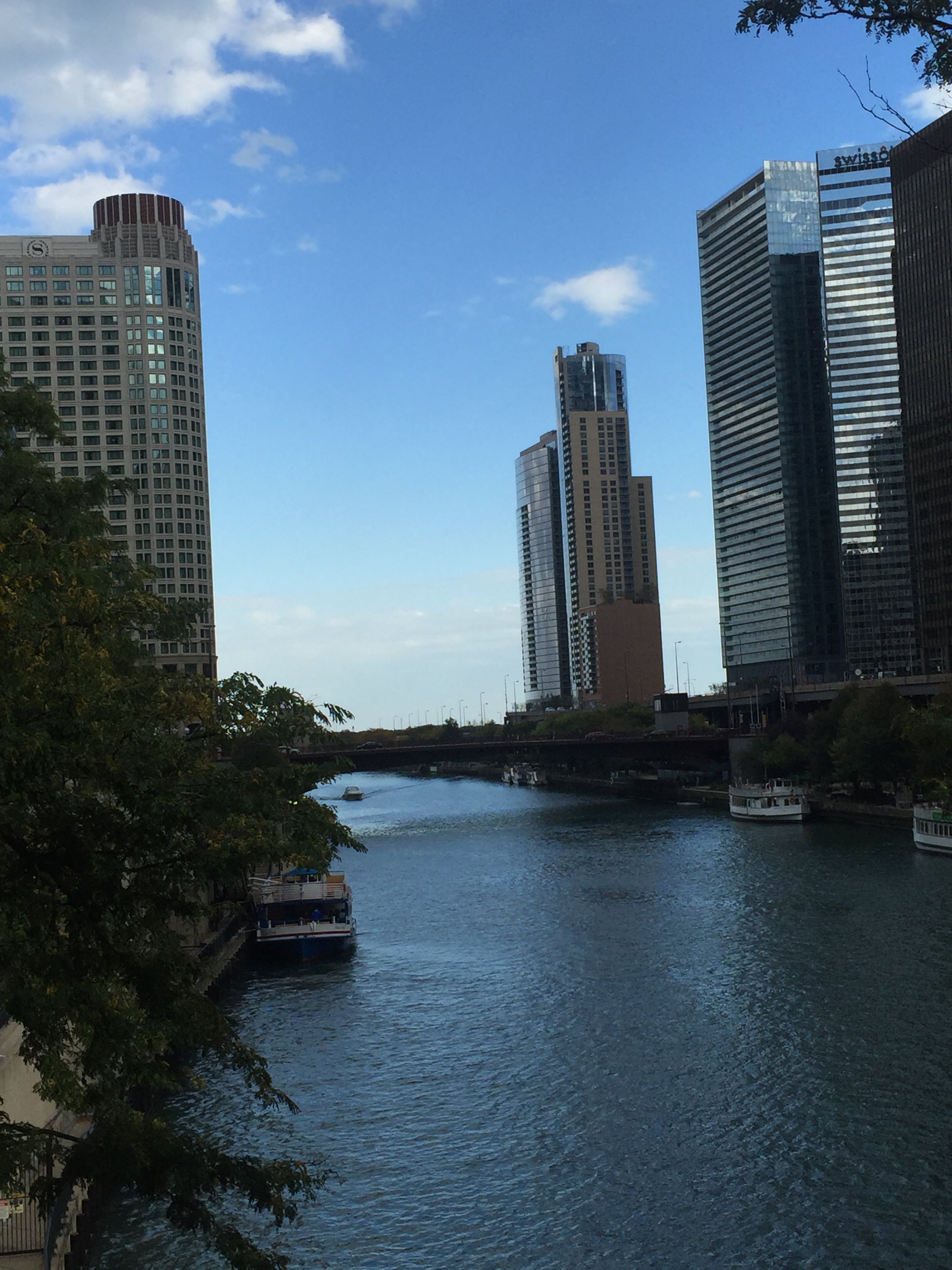 Carpe Diem Chicago River